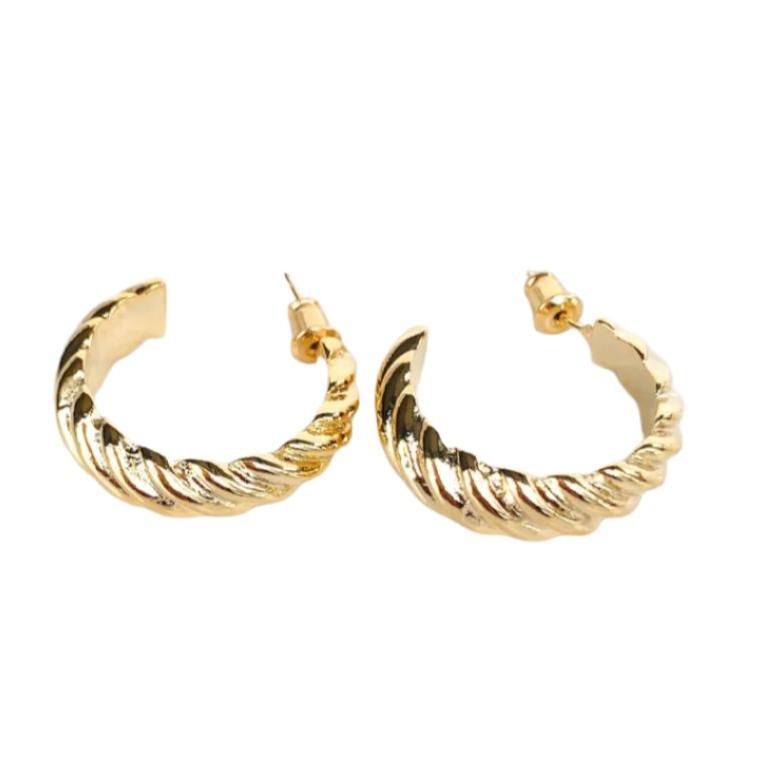 Ashley Hoop Earrings